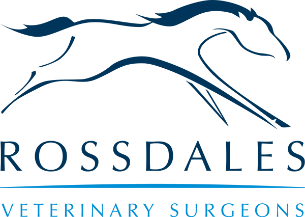 Rossdales Veterinary Surgeons